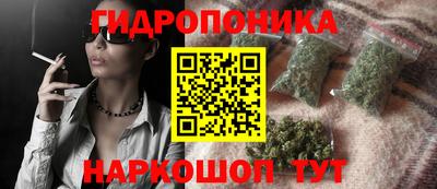 шишки Пушкино
