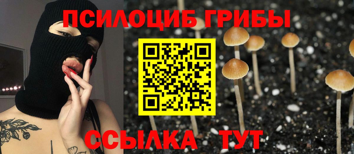 Псилоцибиновые грибы прущие грибы Отрадный